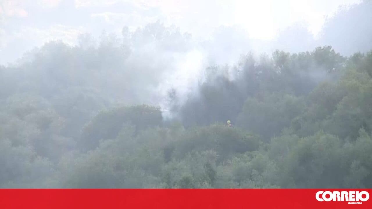 Wildfire in scrubland area in Mafra mobilises over 100 personnel and seven aerial assets