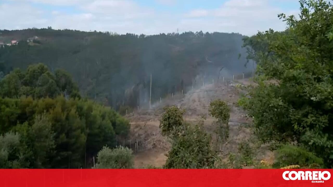 Fire in Gondomar brought under control after mobilising over 100 personnel