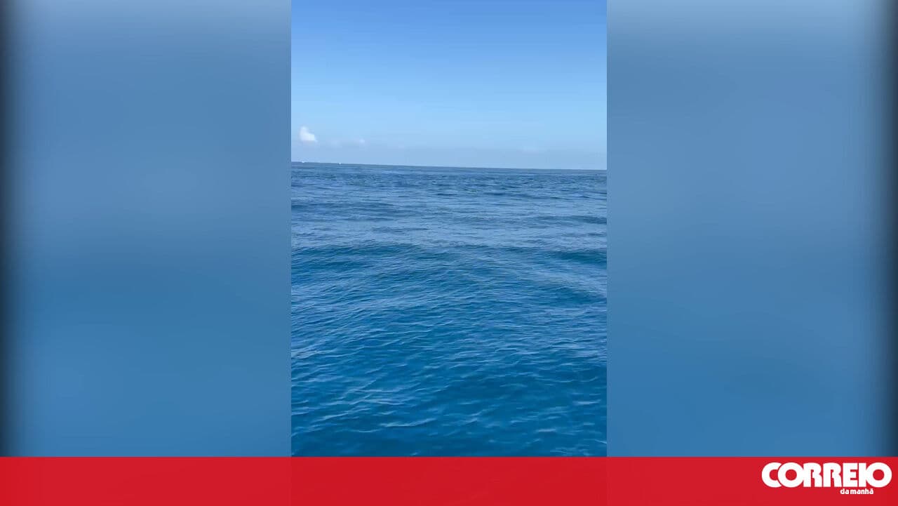 Shark sighted near vessel off the coast of Nazaré