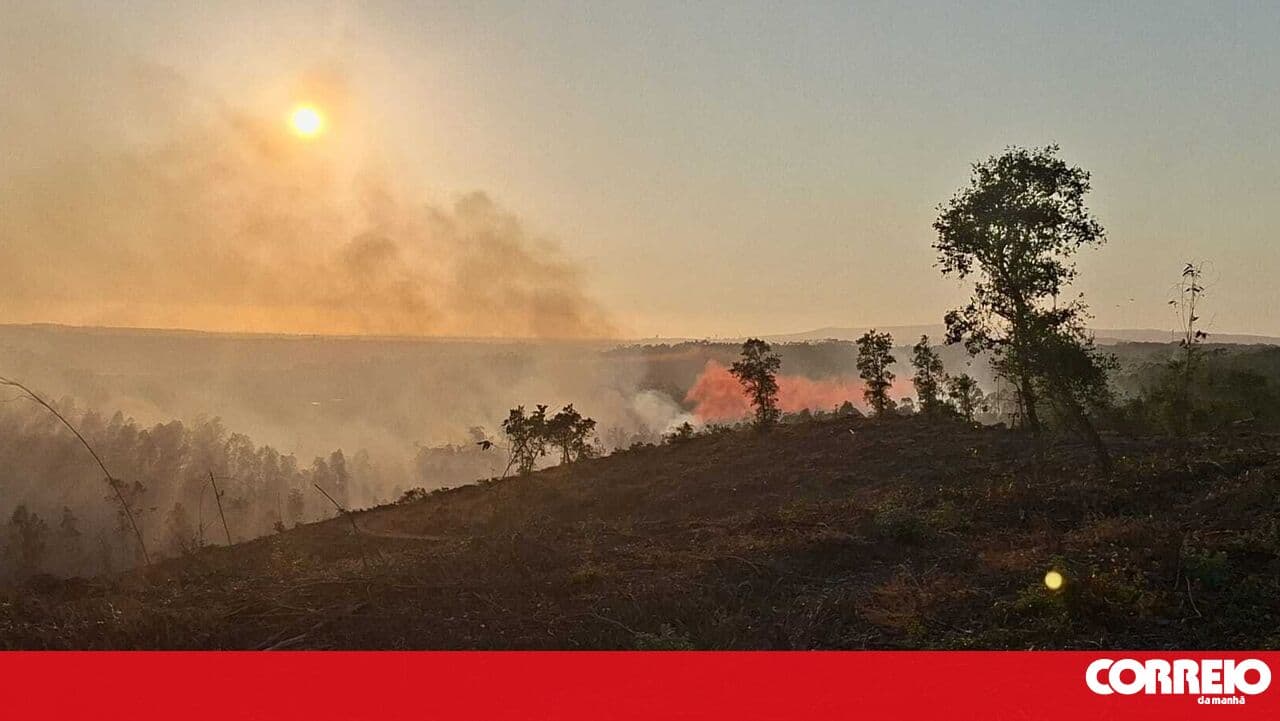 Fire that mobilised over 200 personnel and 12 aerial assets in Soure is now under control