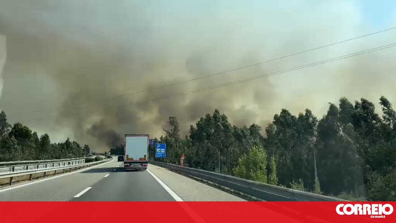 Fire in Aveiro cuts the Northern Line and A1 motorway
