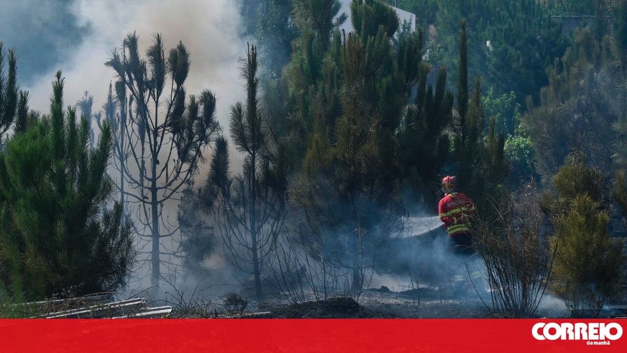 Fire in Caldas da Rainha under control after mobilising a large response force