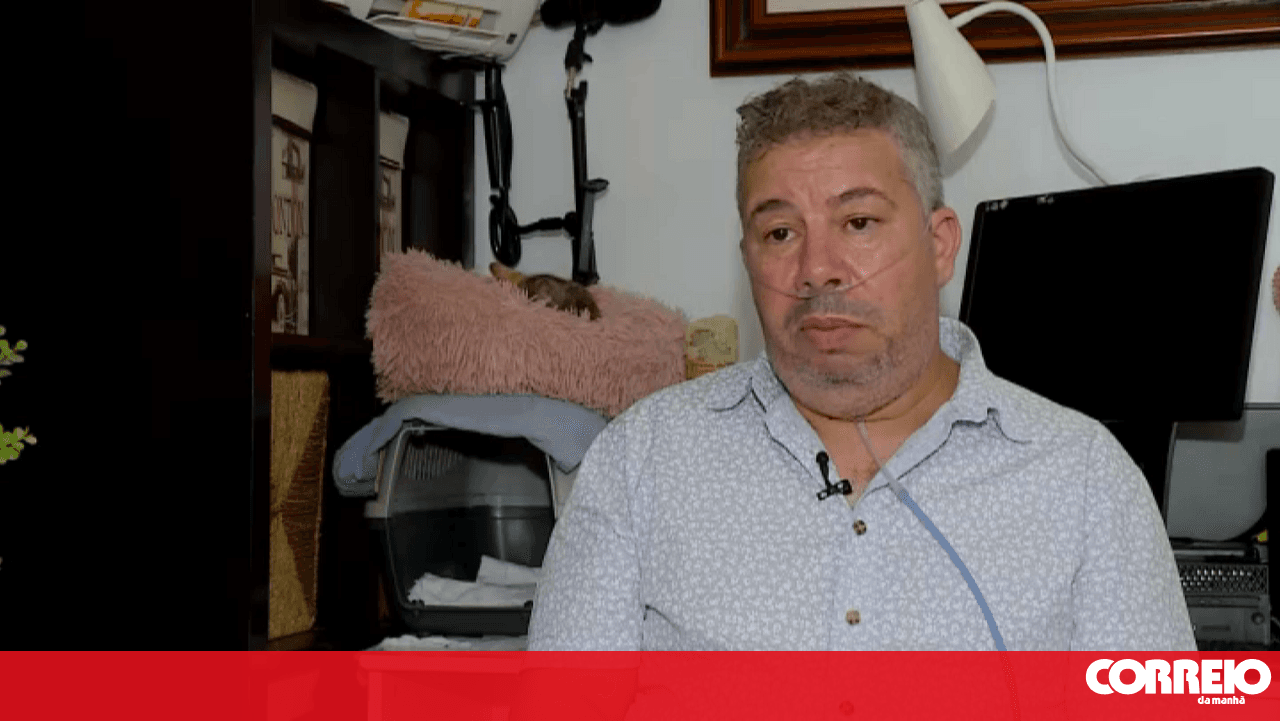 Xenophobia and mistreatment mark new controversy over missing colony cats in Barreiro