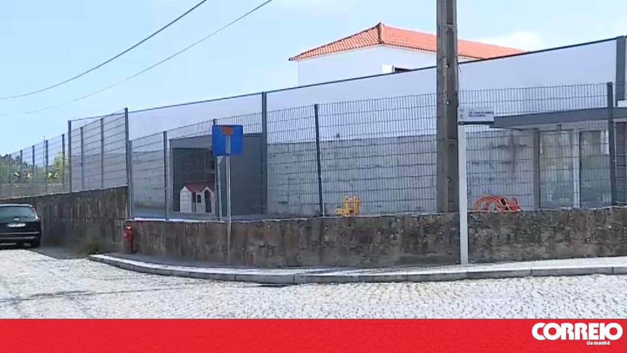 Primary school in Maia closed due to flea infestation