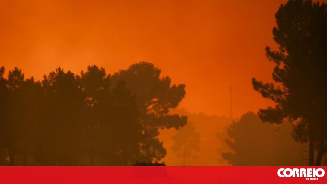Fire in Valpaços receives reinforcements after consuming over 6,000 hectares