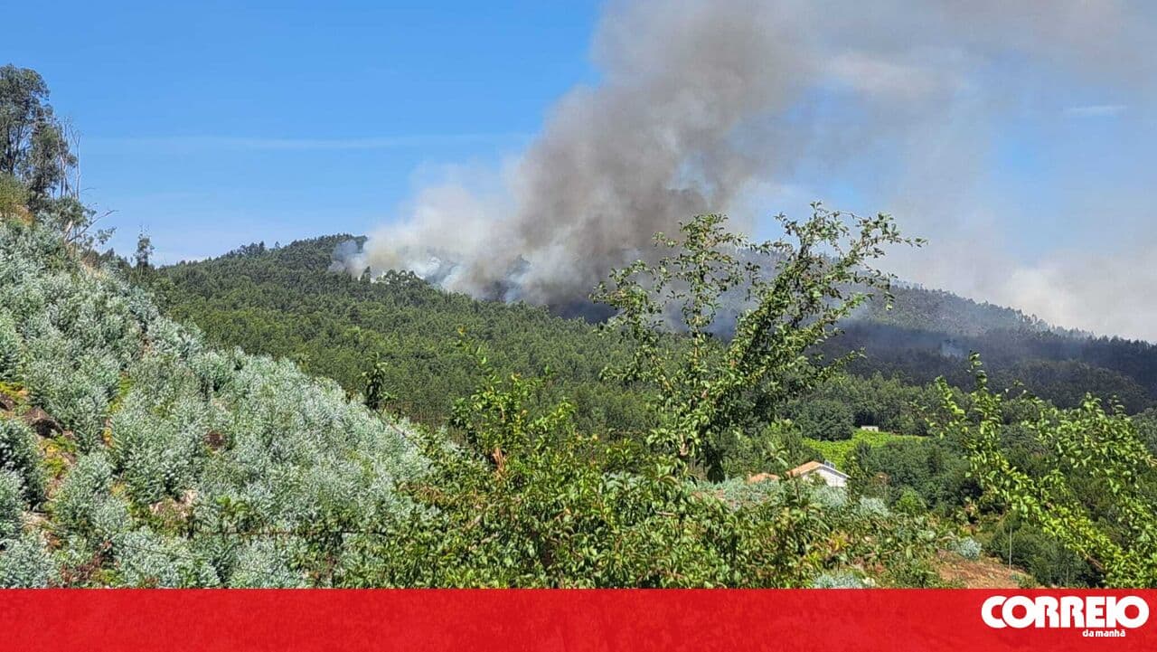 Six aerial assets fight fire that reactivated in Penafiel