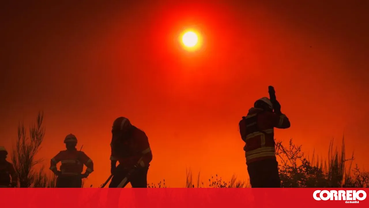 Around 60 municipalities in the interior and the Algarve at maximum fire risk