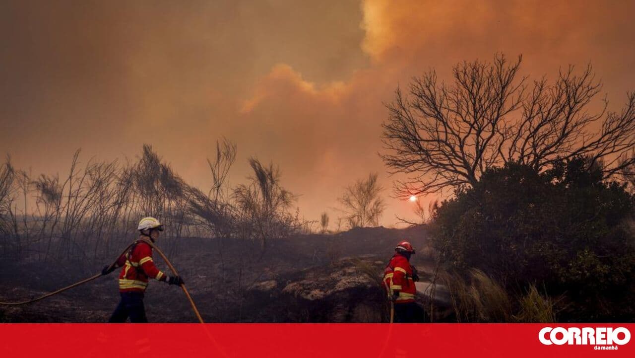 Large fire in Valpaços reaches the municipality of Macedo de Cavaleiros