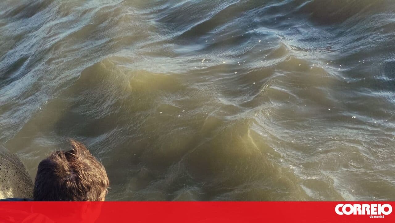 Four rescued from stranded vessel in Montijo