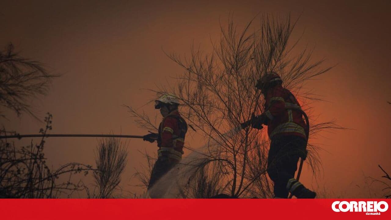 Fire fronts in Mirandela and Vinhais cause further concern, with reactivations in the Valpaços wildfire