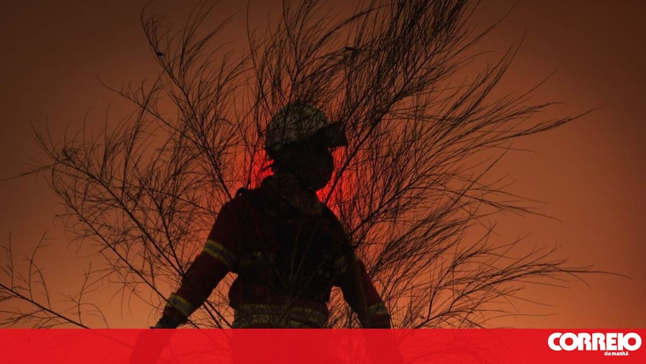 Firefighting efforts progress favourably on the Mirandela and Vinhais front