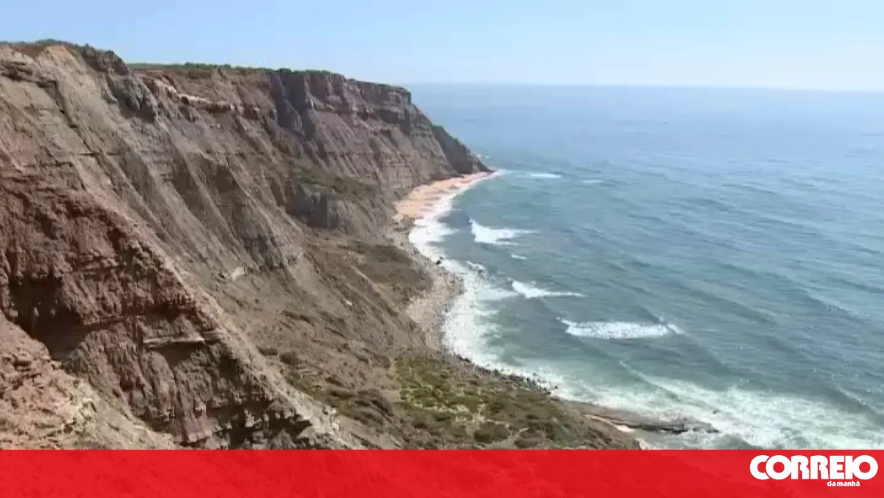 Dinosaur fossil over 140 million years old found in Torres Vedras
