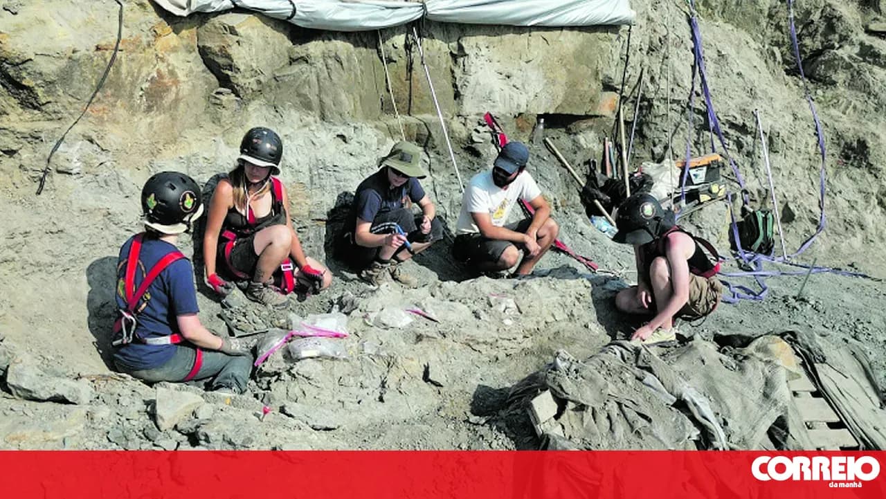 The most complete dinosaur fossil in the country has been discovered