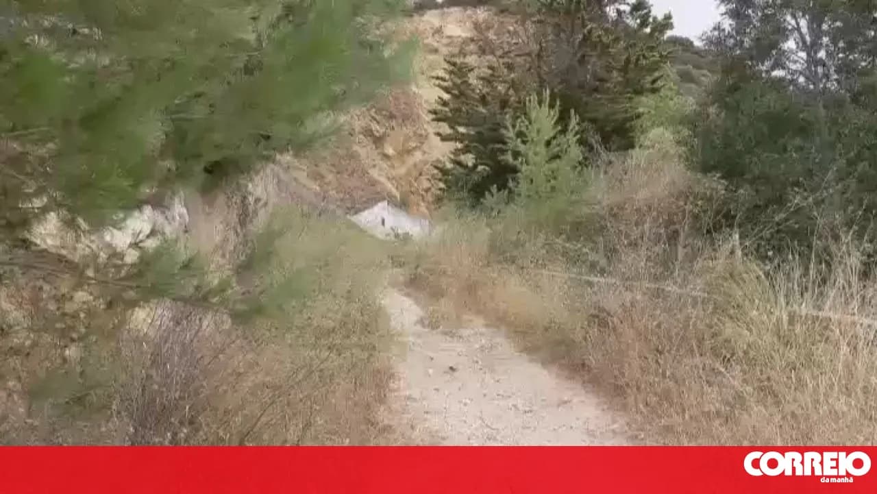 Two-year-old baby rescued in scrubland after being missing for several hours in Vila Franca de Xira
