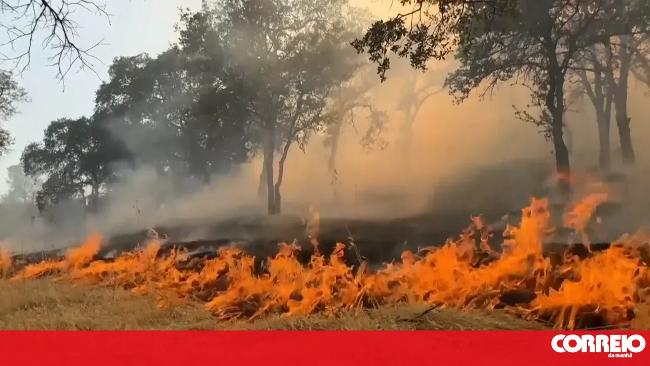 Around 20 municipalities in the interior North, Centre, and Algarve at maximum fire risk