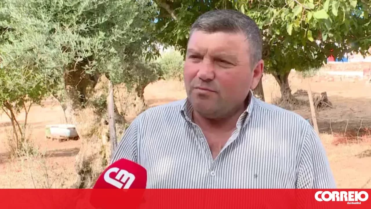 "I always believed": Alentejo mayors welcomed elephant sanctuary with open arms