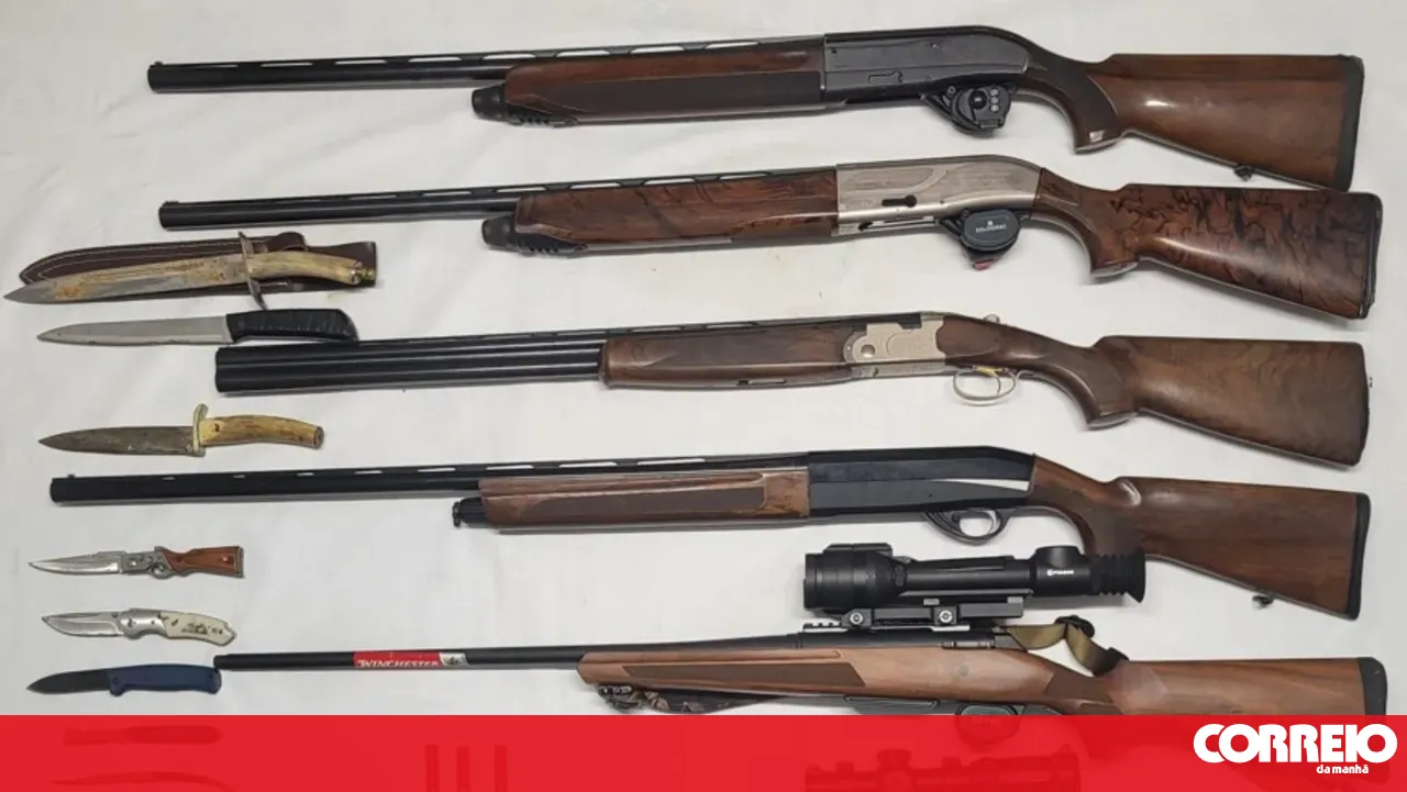 GNR of Coruche arrests group suspected of assaults and seizes weapons and ammunition