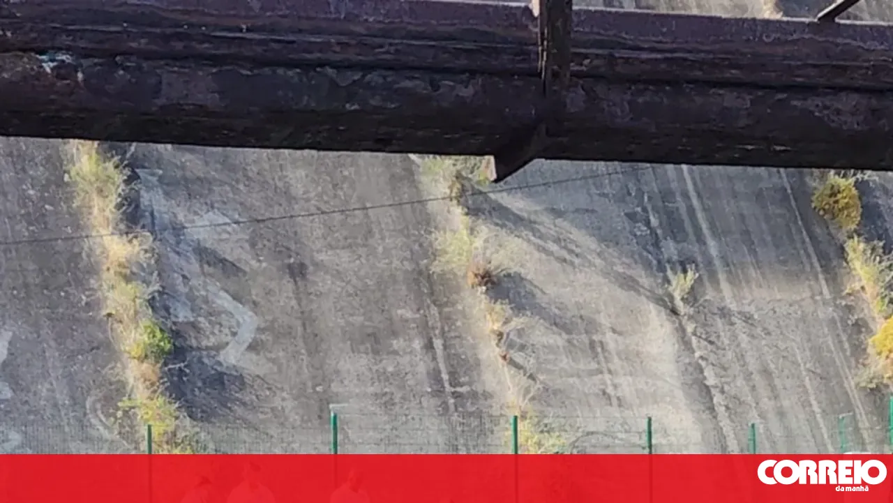 Elderly woman dies after falling into the Tagus River in Cacilhas