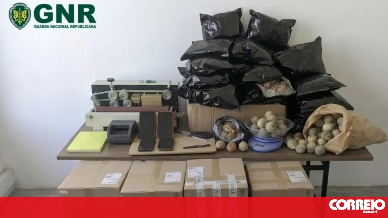 Man arrested in Alenquer for drug trafficking with poppy heads