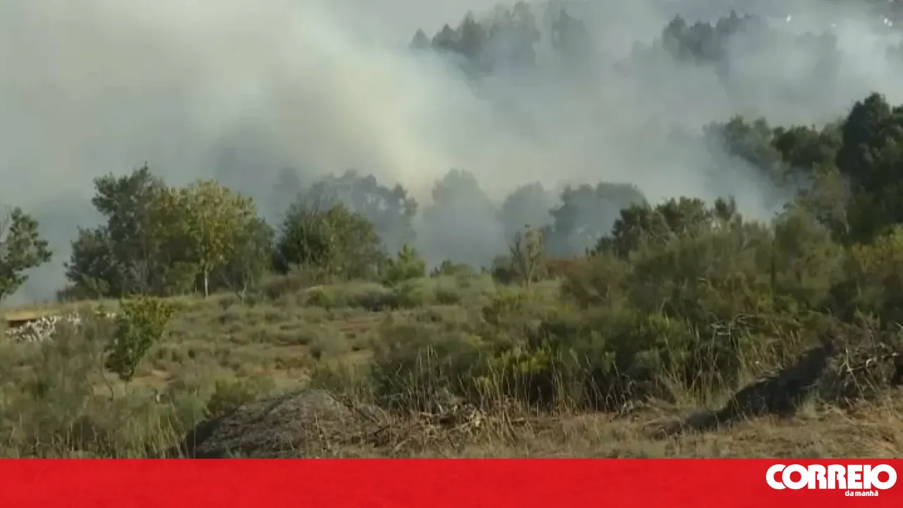 Wind hinders firefighting efforts in Vila Pouca de Aguiar with one active front