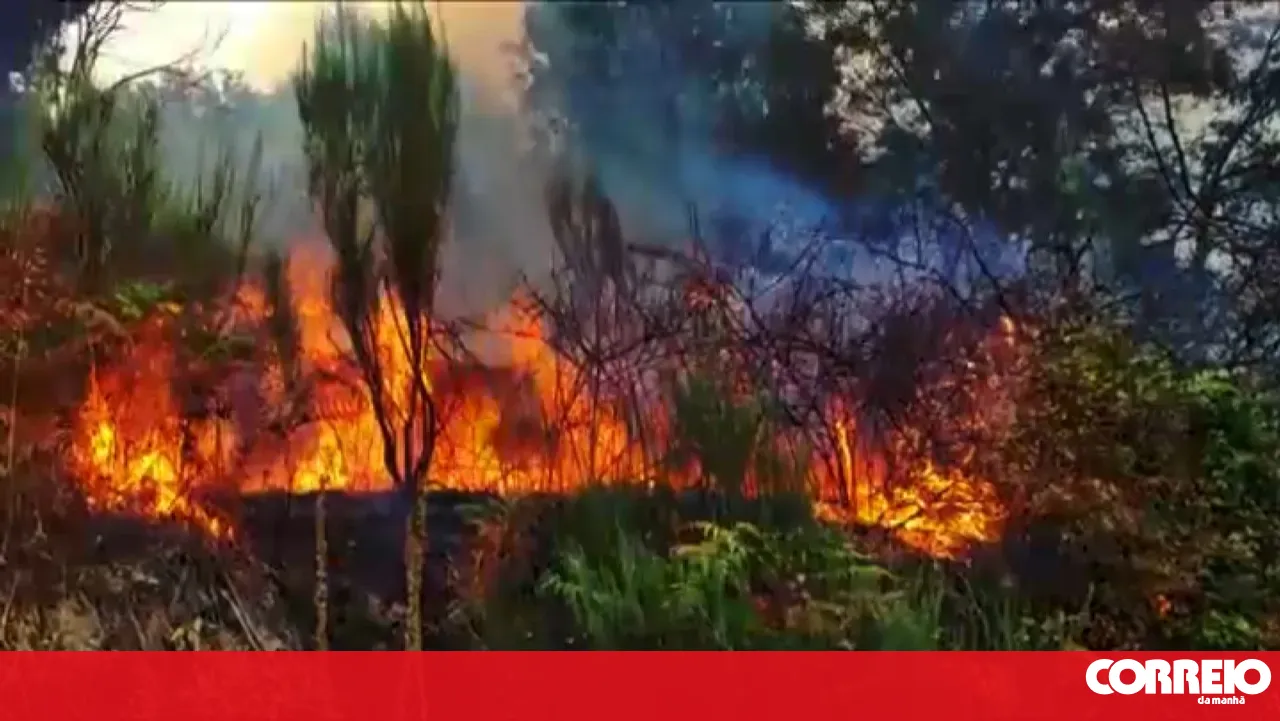 Night of alarm in Boticas with third fire since Saturday