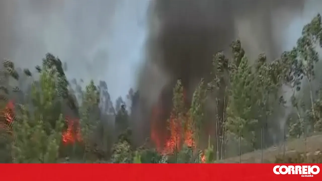 Fire that broke out in Valongo is under control