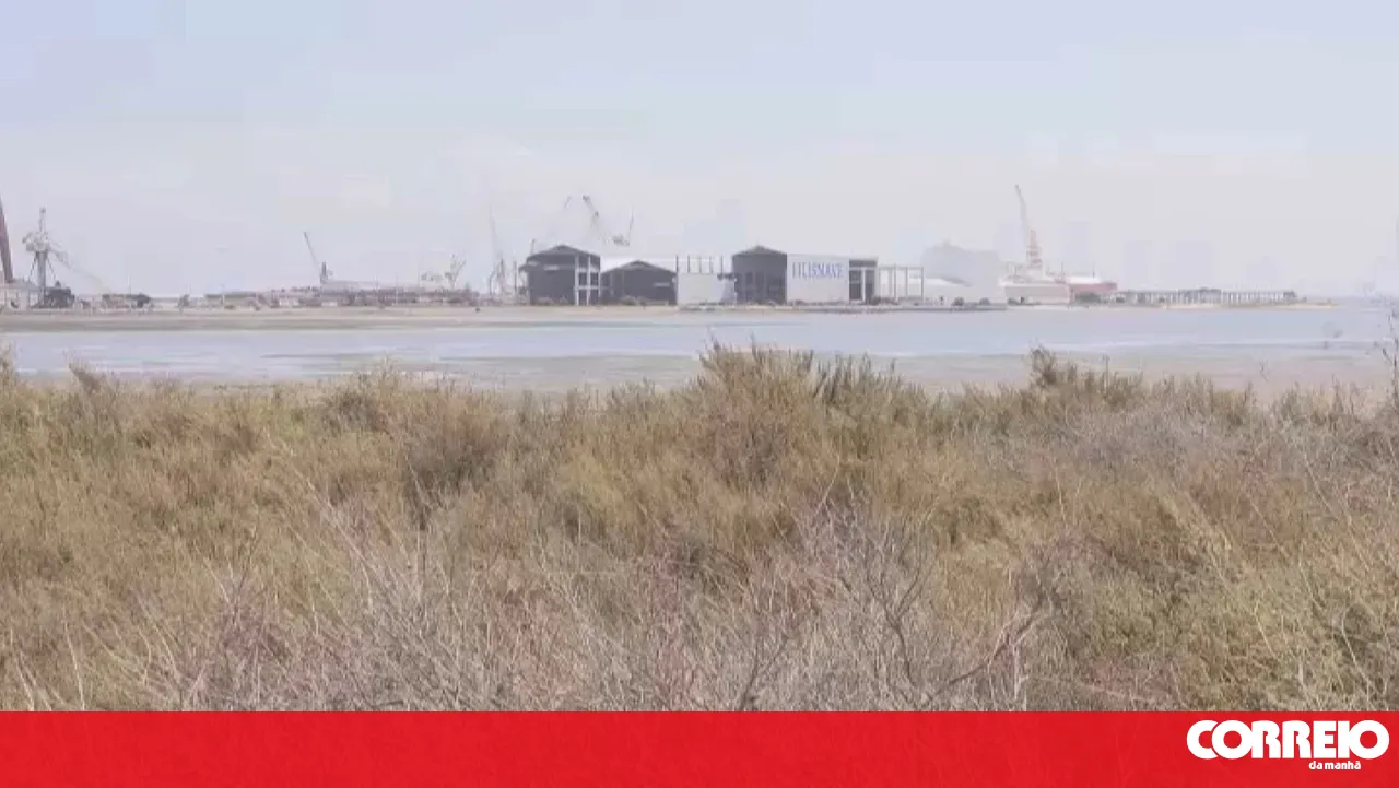 Diver who was missing in the Sado River found dead