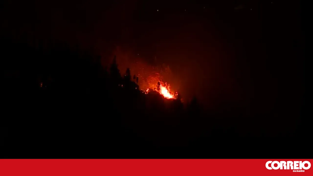 Fire that mobilised over 500 personnel in Abrantes is now under control