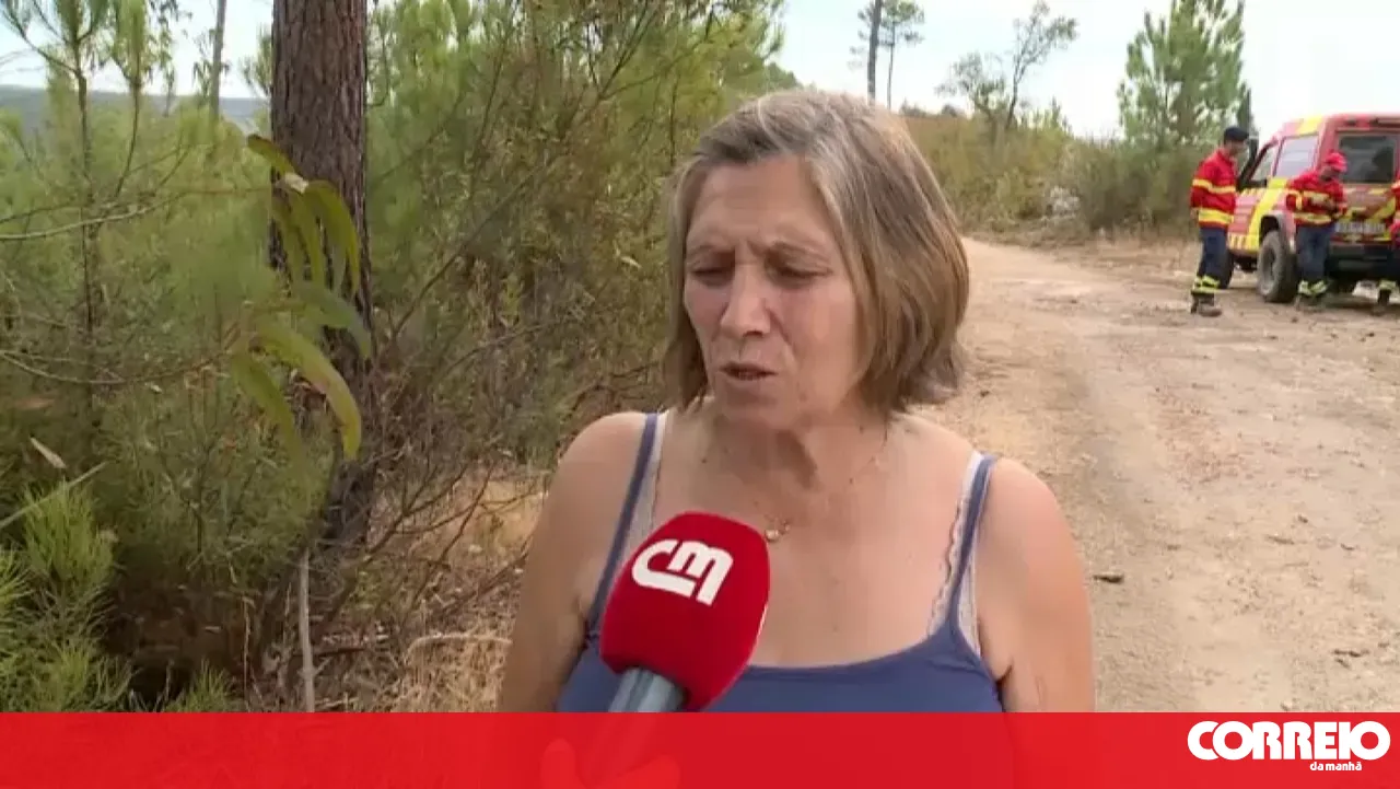 Fire in Mouriscas did not put houses at risk, but residents experienced a night of alarm