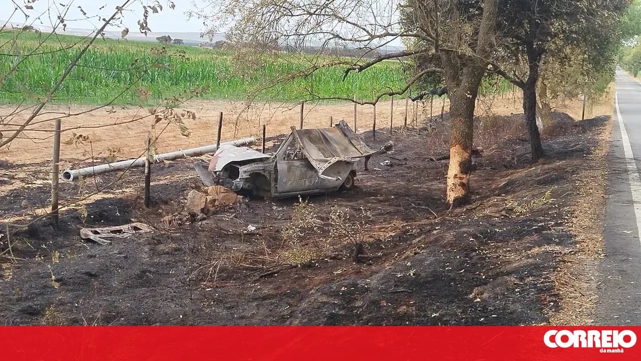 Car collision with wild boar kills father and injures son in Alentejo