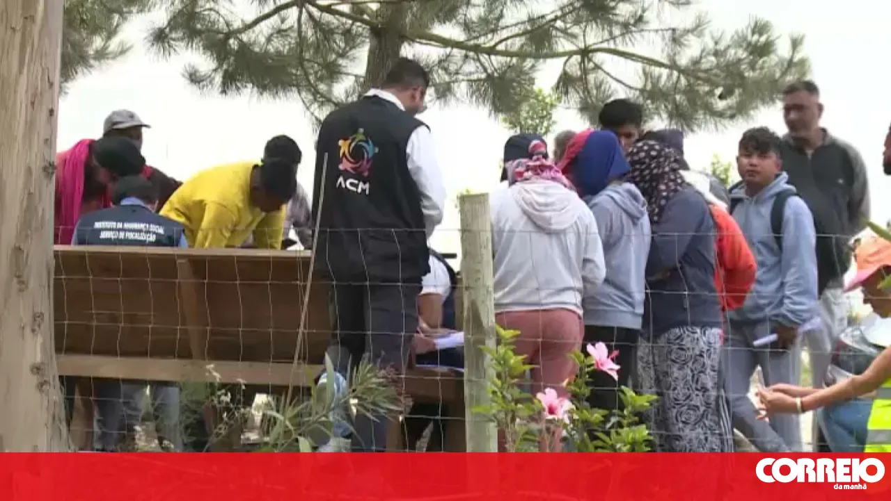 GNR finds 31 foreign workers housed in poor conditions in Bombarral