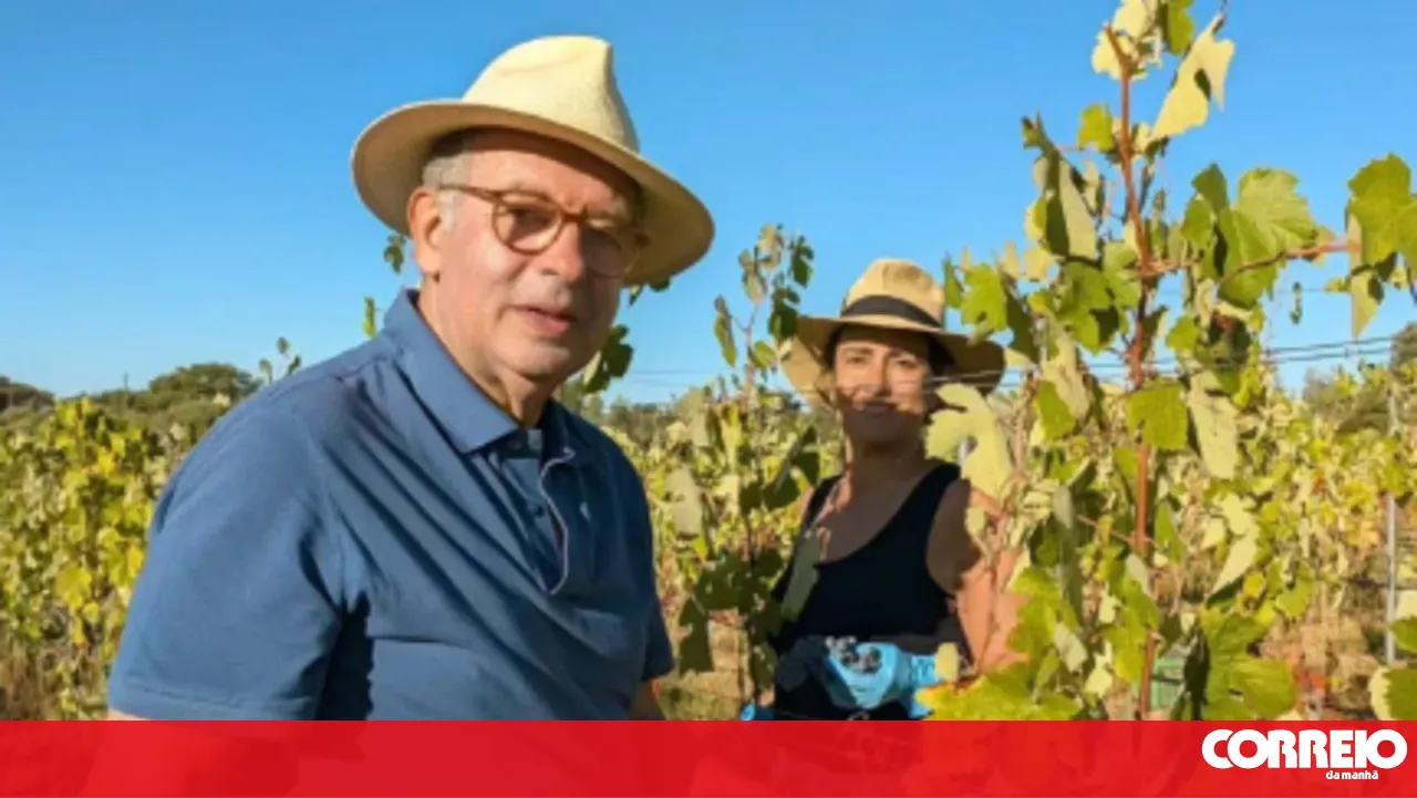 President of the Republic takes advantage of the last weekend of August to harvest grapes in Penamacor