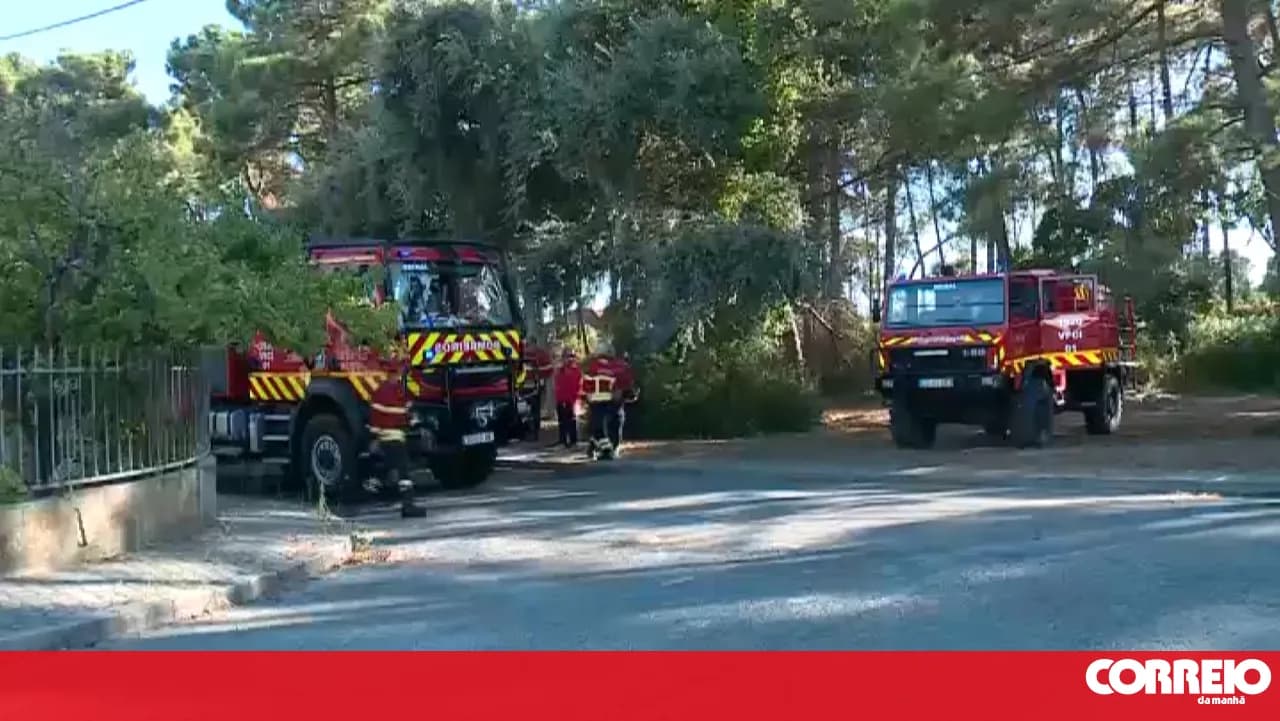 Fire in Charneca de Caparica consumes 400 square metres of land