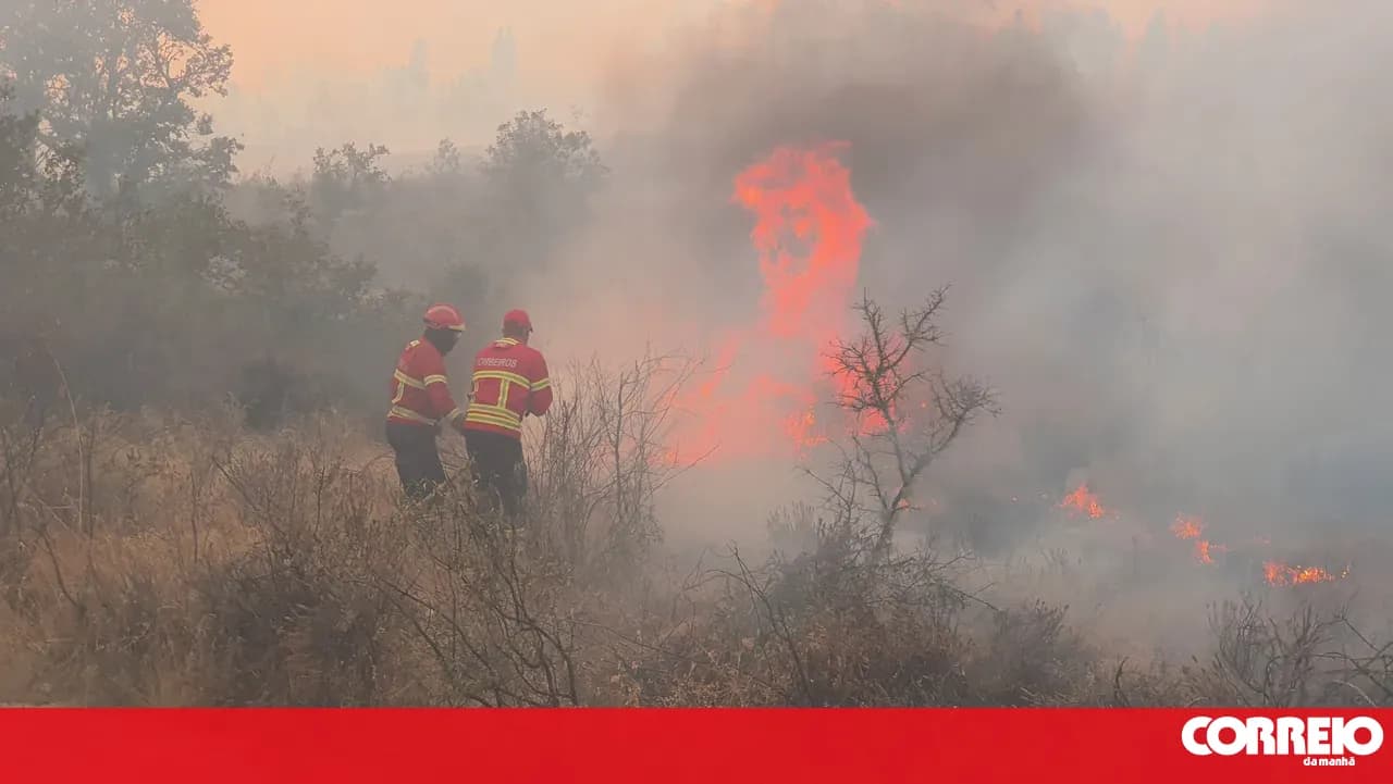 Covilhã municipality was the most affected by fire since 2020