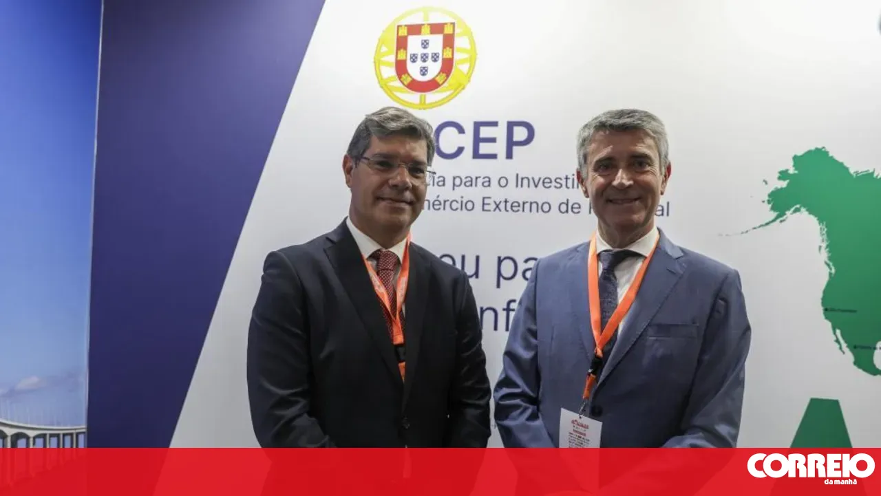 Carneiro says the PS will be "a bulwark" for Mozambicans seeking opportunities in Portugal
