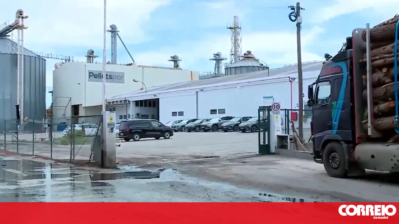 Fire breaks out at a wood factory in Alcácer do Sal