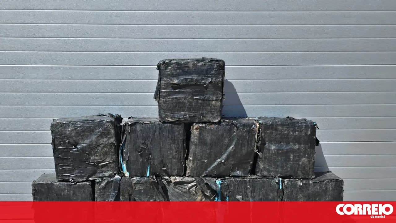 GNR seizes 400 kg of cocaine in Arrábida Natural Park