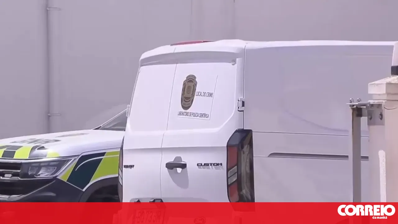 Grandson stabs grandmother to death in Mafra