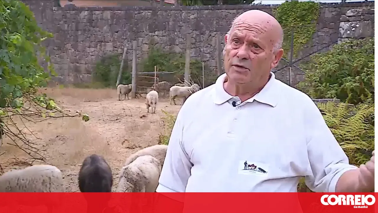 Orlando Gonçalves even slept in his car to stop wolves from killing his animals