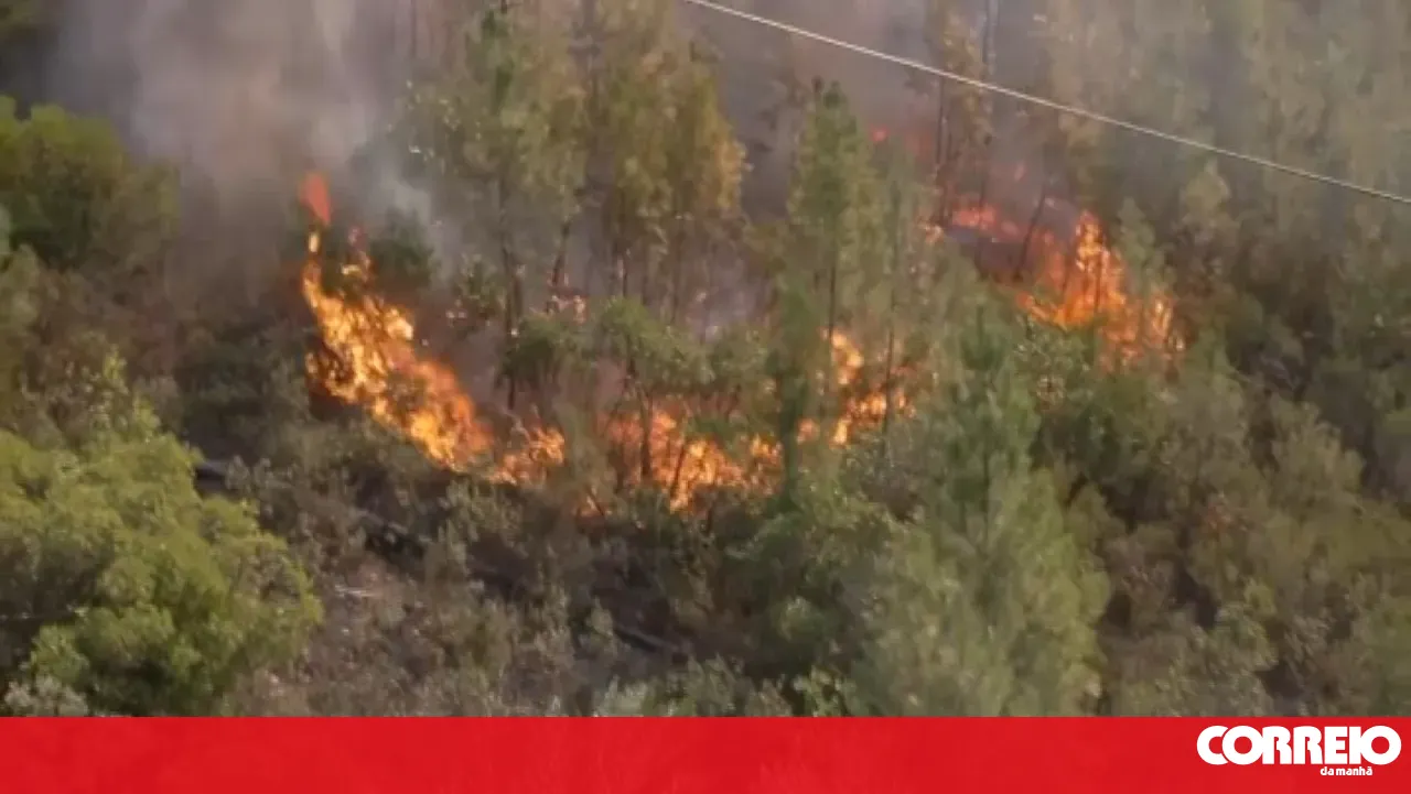 Francisca Laranjo says that flames consuming Proença-a-Nova are close to homes