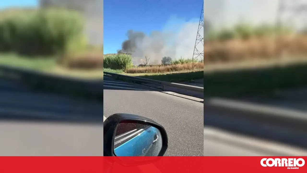 More than 40 firefighters battle blaze near the A36 in Odivelas