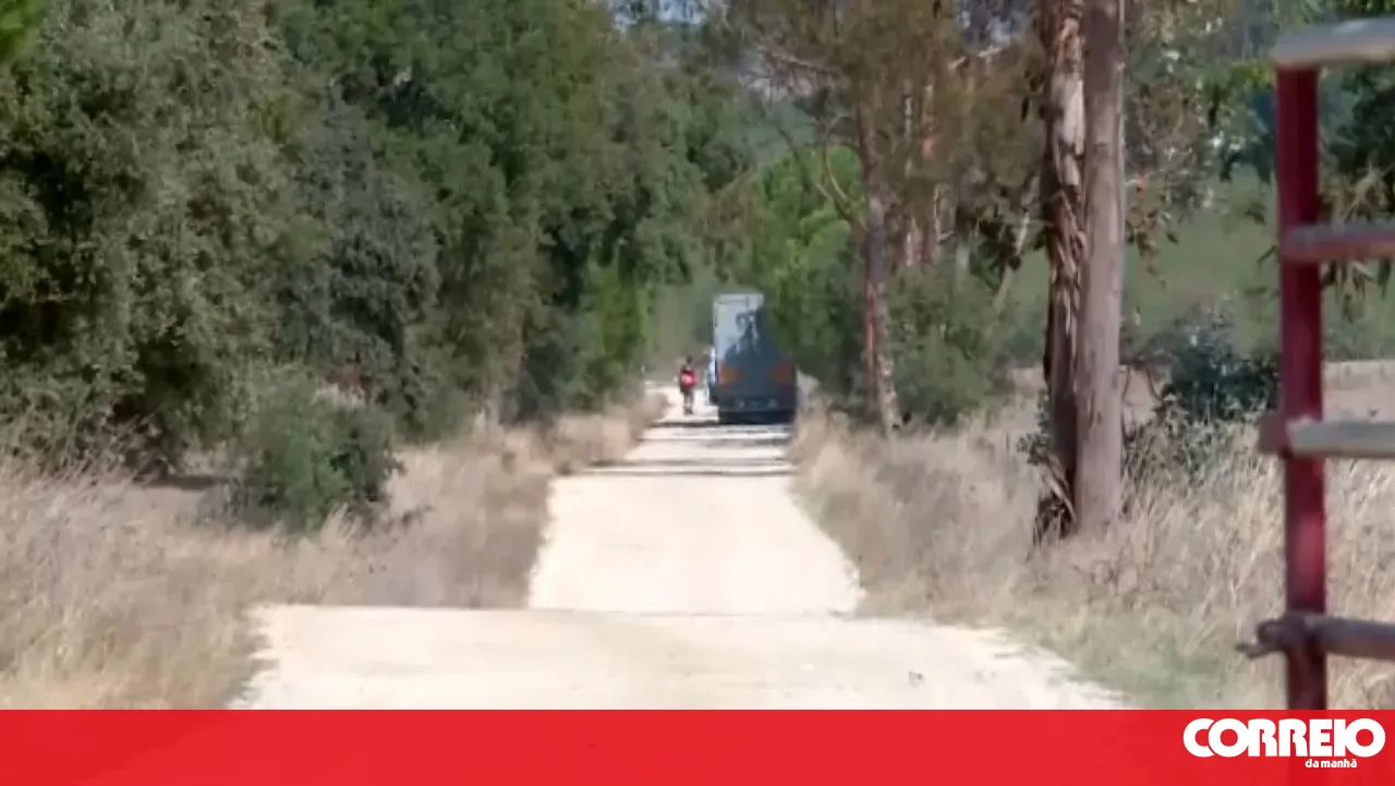 Truck struck by train in Viana do Alentejo. Three injured