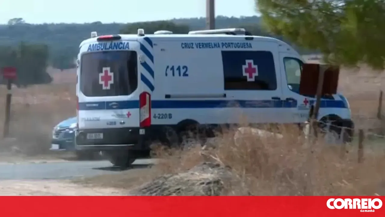 Truck struck by train in Viana do Alentejo. Seriously injured person airlifted
