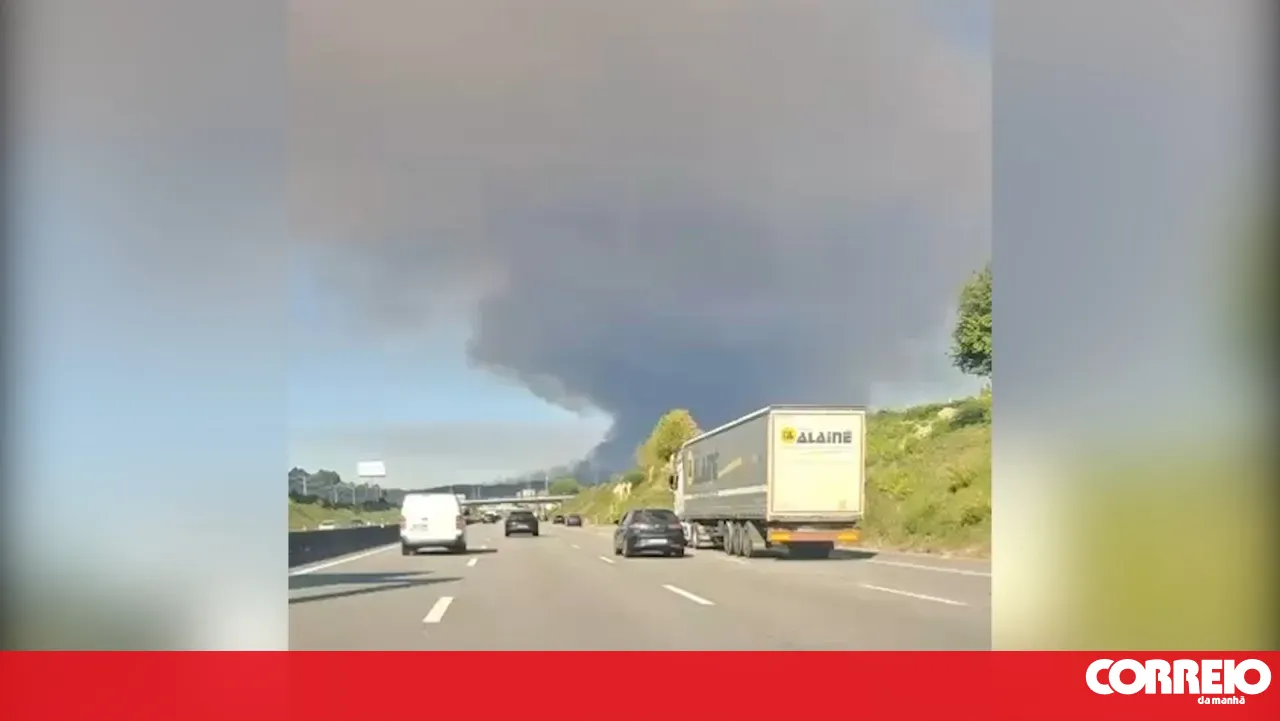 Eight aerial assets fight the flames in Santo Tirso