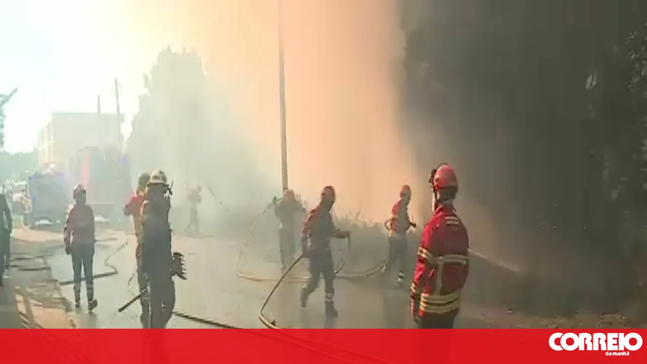 Fire breaks out in scrubland area in Gondomar