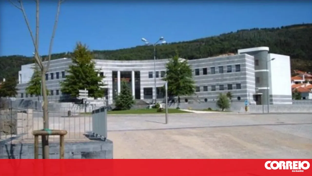 E-Redes goes on trial in Arouca for the illegal felling of 63 cork oaks