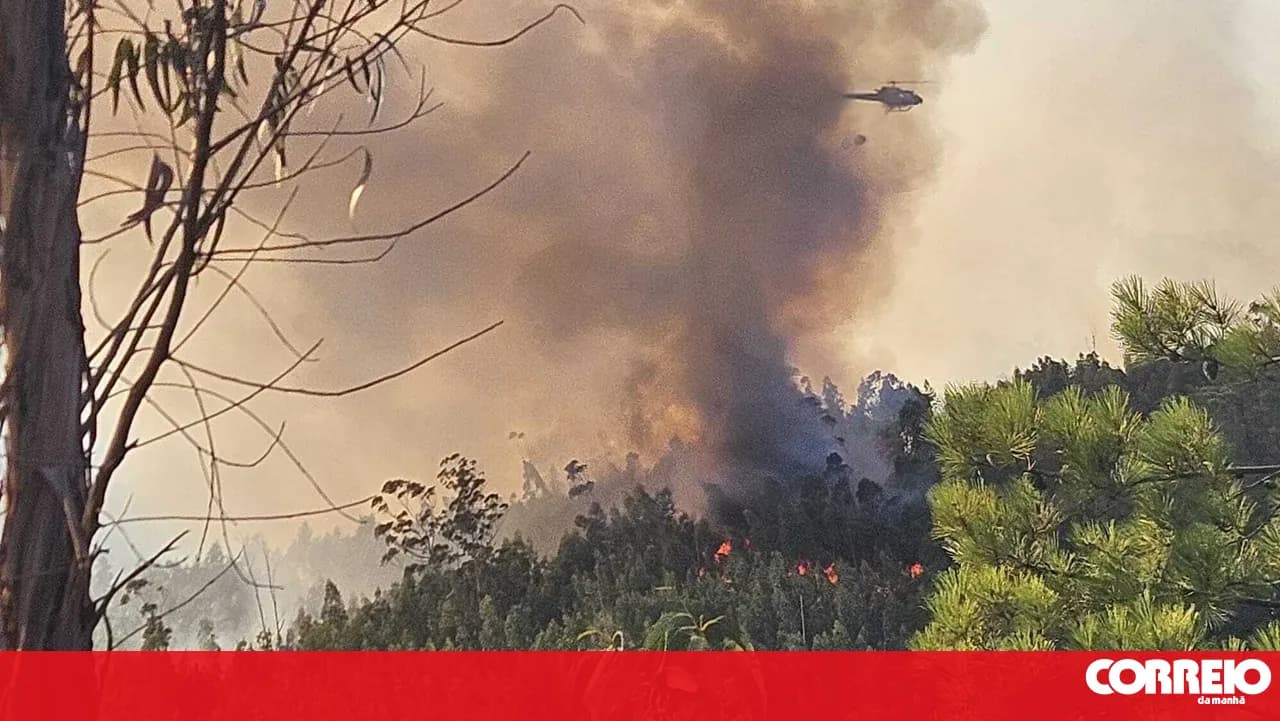 Large wildfire mobilizes hundreds in Coimbra region