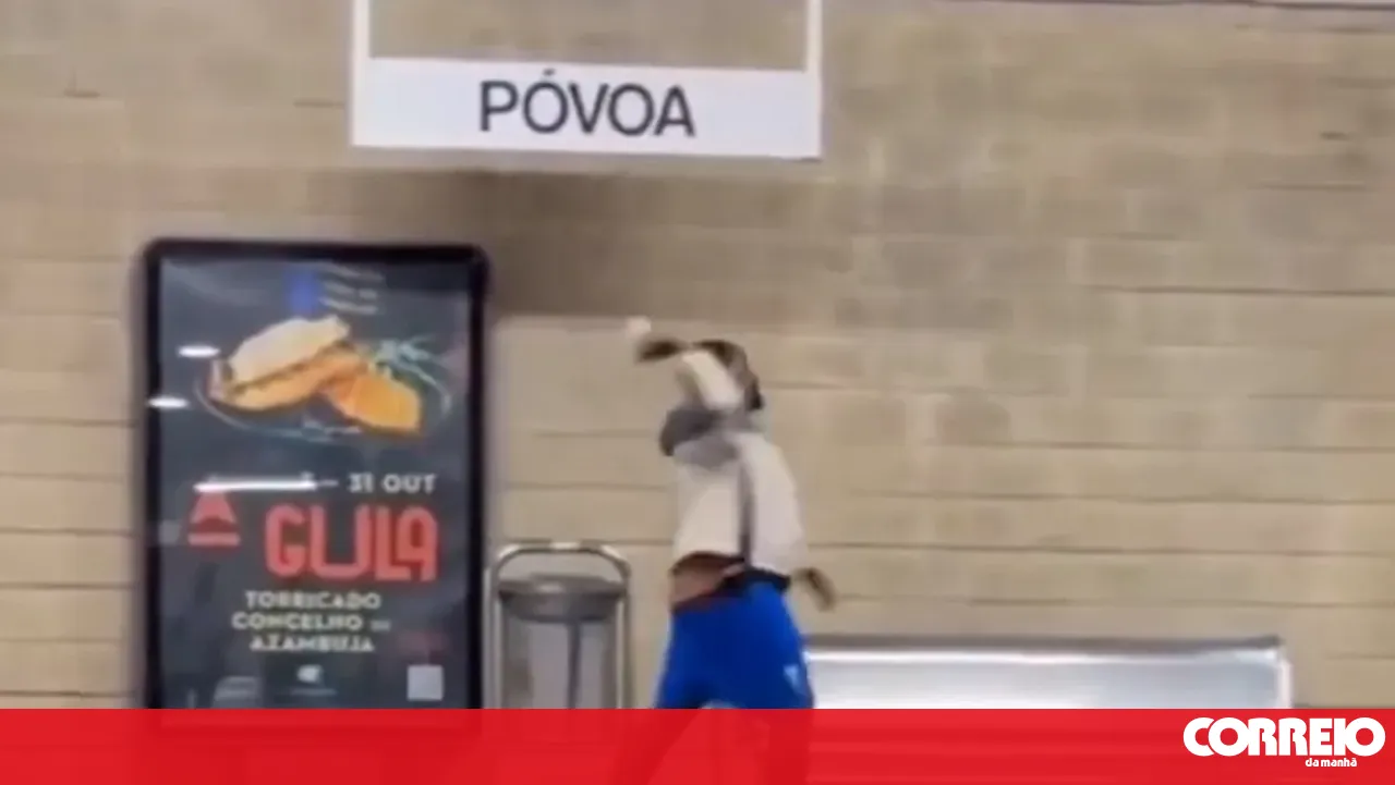 Vandal arrested by the PSP for destroying train station monitors