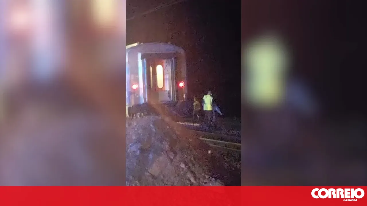 Car driver dies after being hit by a train in Vila Nova da Barquinha