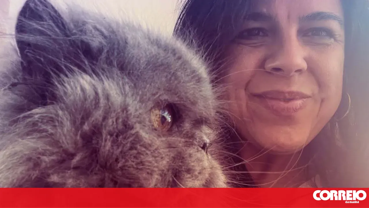 Heartbroken! Inês Sousa Real missed the fortnightly debate because her cat suffered a stroke